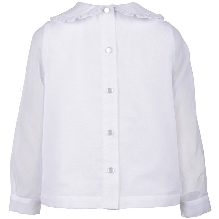 Sheer Organdy Pleated Collar Blouse