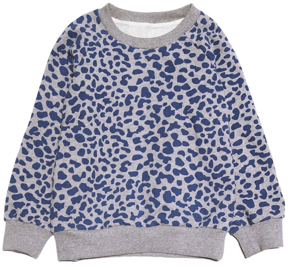                                                                                                                     Tabby Blue Sweatshirt 